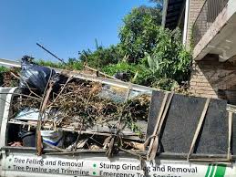 Best Furniture Removal  in Demorest, GA